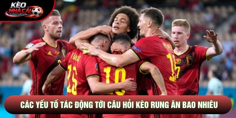 Các yếu tố tác động tới câu hỏi kèo rung ăn bao nhiêu Các yếu tố tác động tới câu hỏi kèo rung ăn bao nhiêu