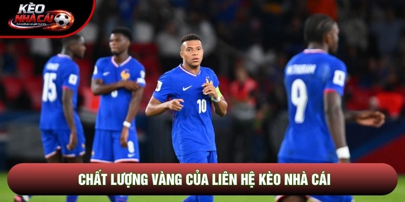 Chất lượng vàng của liên hệ kèo nhà cái Chất lượng vàng của liên hệ kèo nhà cái