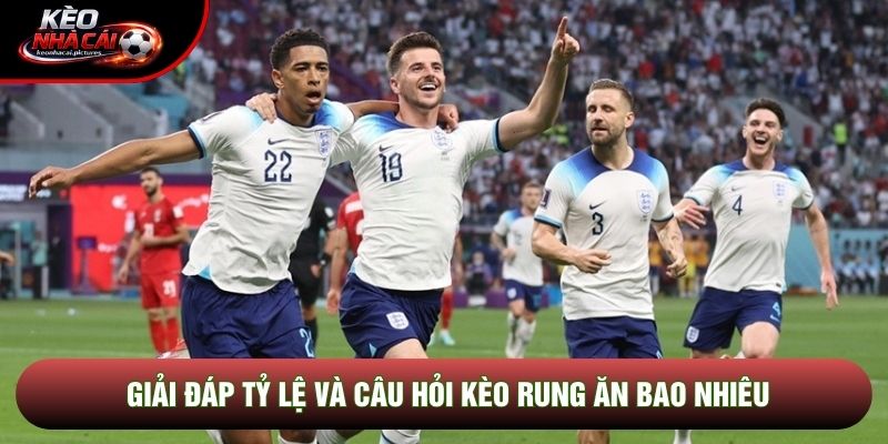 Giải đáp tỷ lệ và câu hỏi kèo rung ăn bao nhiêu Giải đáp tỷ lệ và câu hỏi kèo rung ăn bao nhiêu