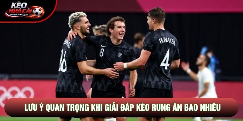 Lưu ý quan trọng khi giải đáp kèo rung ăn bao nhiêu Lưu ý quan trọng khi giải đáp kèo rung ăn bao nhiêu